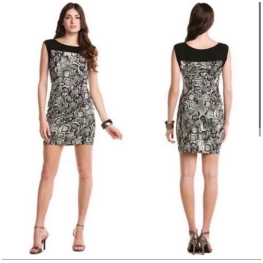 BCBGMaxazria Animal Print Dress - Picture 3 of 5